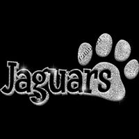 GLT17   SILVER GLITTER Thumbnail